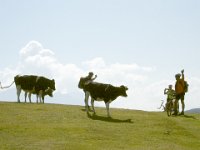 TA 2005-02-Tag-65 : MTB, Transalp, Transalp 2005