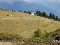 TA 2005-02-Tag-66 : MTB, Transalp, Transalp 2005