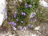 TA 2005-03-Tag-24 : MTB, Transalp, Transalp 2005