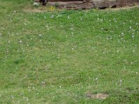 TA 2005-03-Tag-46 : MTB, Transalp, Transalp 2005