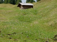 TA 2005-03-Tag-51 : MTB, Transalp, Transalp 2005