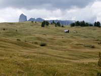 TA 2005-03-Tag-54 : MTB, Transalp, Transalp 2005