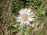 TA 2005-04-Tag-58 : MTB, Transalp, Transalp 2005