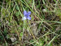 TA 2005-05-Tag-29 : MTB, Transalp, Transalp 2005