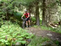 TA 2005-06-Tag-17 : MTB, Transalp, Transalp 2005