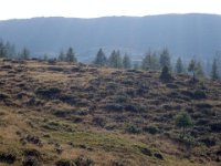 TA 2005-06-Tag-47 : MTB, Transalp, Transalp 2005