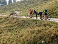 TA 2005-06-Tag-67 : MTB, Transalp, Transalp 2005