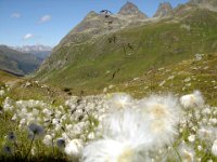 TA 2006-01-Tag-192 : MTB, Transalp, Transalp 2006