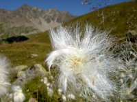 TA 2006-01-Tag-194 : MTB, Transalp, Transalp 2006