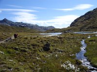 TA 2006-01-Tag-214 : MTB, Transalp, Transalp 2006