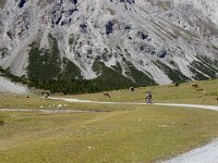 TA 2006-04-Tag-64 : MTB, Transalp, Transalp 2006
