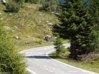 TA 2006-05-Tag-49 : MTB, Transalp, Transalp 2006