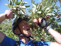 TA 2006-08-Tag-32 : MTB, Transalp, Transalp 2006