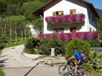 TA 2006-08-Tag-44 : MTB, Transalp, Transalp 2006