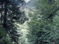 TA 2006-08-Tag-93 : MTB, Transalp, Transalp 2006