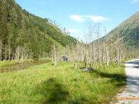 TA2010-04-036