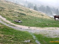 TA2010-05-041