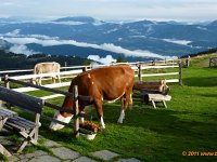 TA2010-05-086