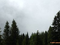 TA2010-06-003