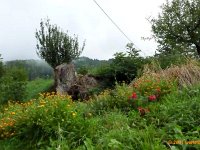 TA2010-06-011