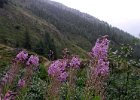 TA-2012-02--028 : 02. Tag, MTB, Transalp, Transalp 2012