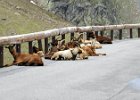 Ta-2012-03-012 : 03. Tag, MTB, Transalp, Transalp 2012
