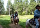 hier sind reiter unterwegs : 07. Tag, MTB, Transalp, Transalp 2012