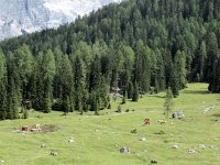 TA-2013-04--026 : 4. Tag, MTB, Transalp, Transalp 2013