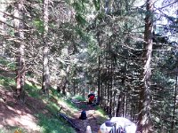 unt schon der erste Plattfuß : 1.Tag, MTB, Transslovenia 2014