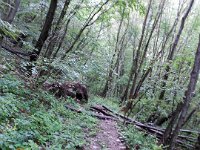 TA2014-04-0039 : 4.Tag, MTB, Transslovenia 2014
