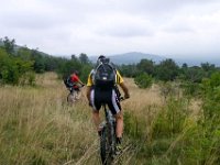 ohne GPS kann man den Weg nicht finden : 6.Tag, MTB, Solkan - Lipica, Transslovenia 2014