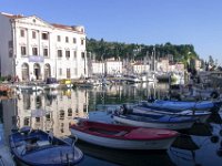 TA2014-07-0052 : 7.Tag, Lipic - Piran, MTB, Transslovenia 2014