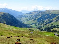 hier geht es jetzt ins Tal : Gsteig Moustiers, MTB, Transalp, Transalp 2015