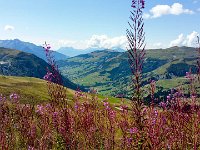 TA2015-04-0032 : Gsteig Moustiers, MTB, Transalp, Transalp 2015