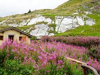 TA2015-06-0009 : Gsteig Moustiers, MTB, Transalp, Transalp 2015