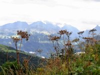 TA2015-06-0021 : Gsteig Moustiers, MTB, Transalp, Transalp 2015