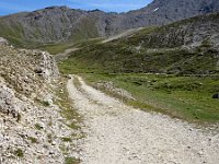 DSC01959