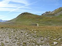 DSC01990