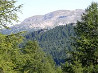 DSC02081