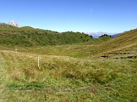 DSC02100