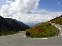 und alles auf Asphalt!