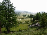 DSC02703