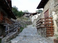 DSC02782