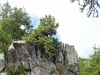P9081669