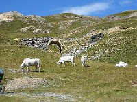 2019-09-09-111 : MTB, Transalp, Transalp 2019