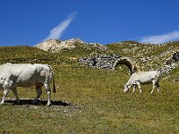 2019-09-09-112 : MTB, Transalp, Transalp 2019