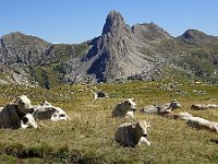 2019-09-09-113 : MTB, Transalp, Transalp 2019