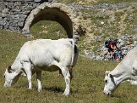 2019-09-09-116 : MTB, Transalp, Transalp 2019