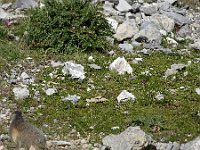 2019-09-09-161 : MTB, Transalp, Transalp 2019