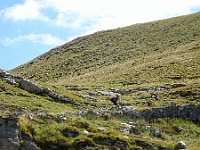2019-09-12-110 : MTB, Transalp, Transalp 2019